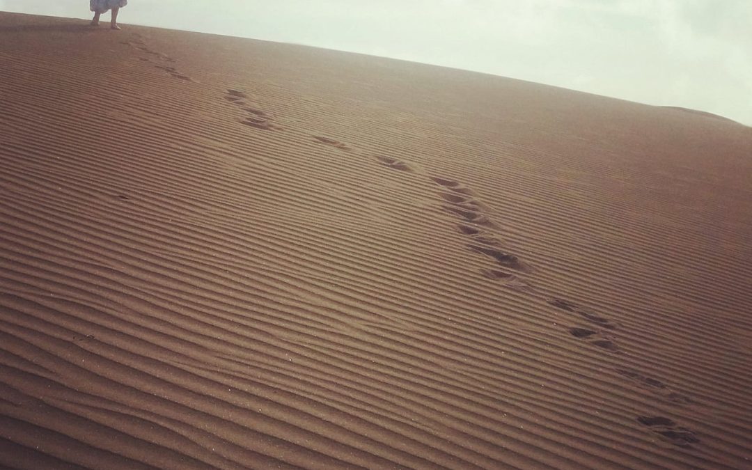 El éxito comienza cuando aprendes a caminar en soledad.